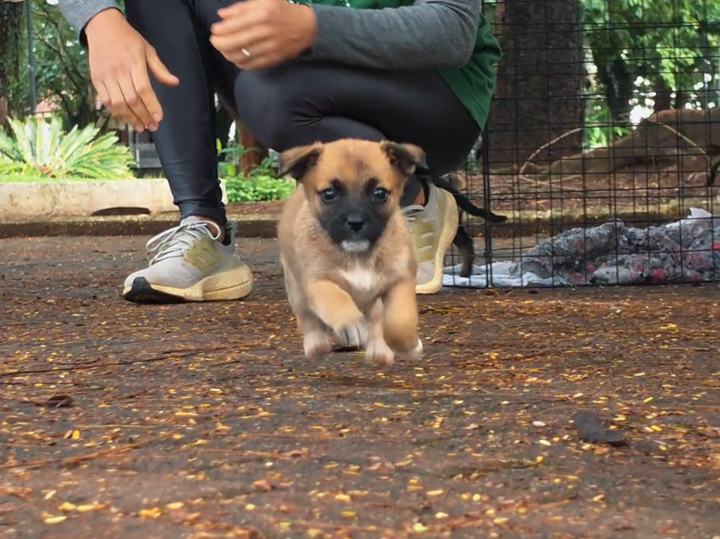 Blur background